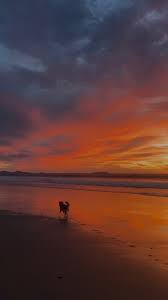 had a heck of a year. lets run it back ✌🏼