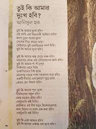 Pin On Bengali Poem