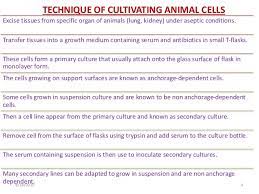 Culture of animal cell and tissue. Bioreactors For Animal Cell Suspension Culture