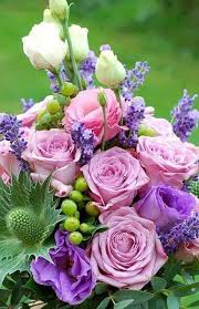 Dreamstime is the world`s largest stock photography community. Photography Plus Here It Is Some Beautiful Flowers