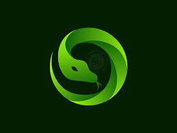 Image result for tbn:0UreIrM_jPIxpM::www.decorazonsinigual.com.ar/imagenes/logo%2520pirata1.jpg