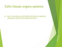 We did not find results for: Ppt Plant And Animal Cells Powerpoint Presentation Free Download Id 1961254