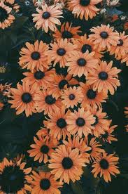 23 Ideas For Flowers Arrangements Fall Floral Design Flower Iphone Wallpaper Cute Fall Wallpaper Iphone Wallpaper Vintage