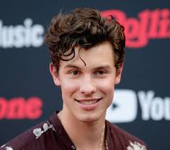 His net worth is primarily attributed to his career as a singer and songwriter. Shawn Mendes Net Worth Celebrity Net Worth