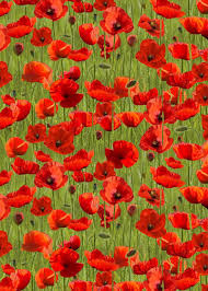 Anzac Day Remembering Day Red Poppies Green Background Cotton Quilting Fabric 1 2 Yard Red Poppies Green Backgrounds Remember Day