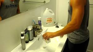 fruit flies in the sink