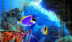 We did not find results for: Best Free Hd Wallpaper Screensavers Downloads
