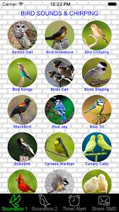 And i'm so glad you're here today. Relaxing Bird Sounds Effects Button Nature Birds Singing Birds Calling Birds Chirping Soundboard Apps 148apps