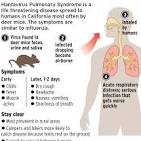 Spring Cleaning and the Hantavirus | Fresno CA | Clovis CA