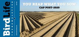 Maybe you would like to learn more about one of these? You Reap What You Sow Birdlife