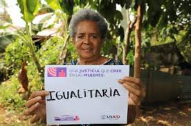 Image result for Justicia francoiseana