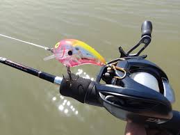 釣りたいバス釣り日記 NEO Bass fishing diary you want to fish