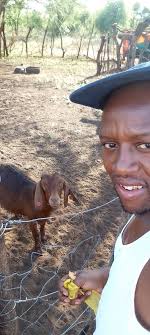 We visited today and got some goodies 🚜 loved it !