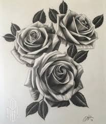 Pin Von Robin Auf Drawings Art Rosen Tattoo Frau Rosen Tattoo Schulter Rose Tattoo Vorlage