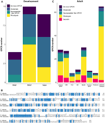 Oleh karir riau mei 17, 2016. Development And Interrogation Of A Transcriptomic Resource For The Giant Triton Snail Charonia Tritonis Springerlink