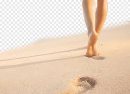 High quality photoscanned 4k pbr sand footprints material. Person Walking On Sand Footprint Beach Sand Sole Woman On The Beach Footprints Beach Business Woman Png Pngegg