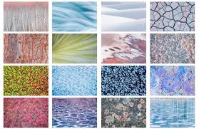 5 Tips On Photographing Abstract Subjects In Nature Nature Photo Guides Example Of Abstract Abstract Abstract Photographs