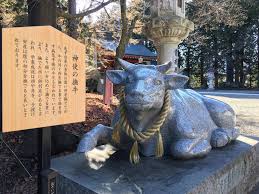 Remember, you have to display diligence and people born in the year of the ox are restrained, precise, unhasting in words and actions. After A Year Of Anxiety What Can We Expect From The Year Of The Ox In 2021 The Japan Times