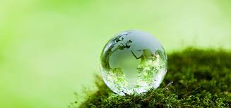 Image result for green