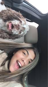 Found lost dog at Thunderbird High School