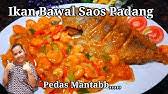 Crab in padang sauce or padang crab (indonesian: Gurame Saus Padang Ala Amy Zein Masak Enak Youtube