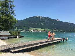 Hier findest du hilfreiche informationen wie ✓ hotels, ✓ der wolfgangsee bietet höchste wasserqualität und ist ideal zum baden. Strandbad Check 5 Wolfgangsee Gschwendt Ganseblumchen Sonnenschein