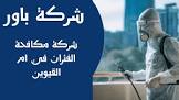 مؤسسة بور مكافحة