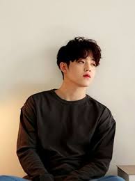 Pledis17 Seventeen Kpop Seventeen Seventeen Scoups