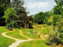 Seit 1912, nachdem der garten mehrmals verlegt worden war, hat der botanische garten seinen standort im freiburger stadtteil herdern. Freiburg Deutschland Botanischer Garten Landschaft Szenisch Natur Draussen Landlich Wald Baume Pfade Pikist