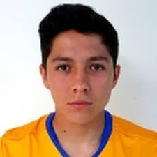 Estadísticas Kevin Cerna,