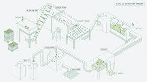 From Wikiwand Olive Oil Extraction Olive Oil Olive Oils