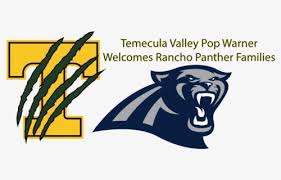 Some of them are transparent (.png). Carolina Panthers Logo Png Images Free Transparent Carolina Panthers Logo Download Kindpng