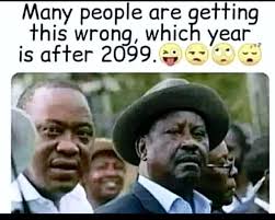 How to take care of an orchid?