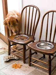 26 Diys Your Pet Will Totally Appreciate Diy Dog Stuff Old Chairs Pets
