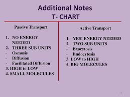 Ppt Active Transport Powerpoint Presentation Free