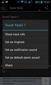 Lengkap dalam teks arab, latin, & terjemahan indonesianya. Surah Yasin Complete For Android Apk Download