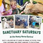 Sanctuary Saturday – 12th September 2026