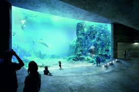 Big Aquarium In House Google Search Aquarium Architecture Big Aquarium Aquarium Design