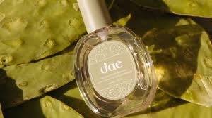 Prickly pear oil is rich in many properties that make it nutritious and healing for the skin. Prickly Pear For Skin The Complete Guide