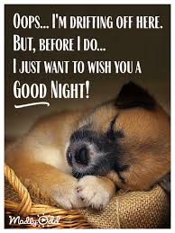 Good Night Funny Good Night Quotes Good Night Funny Good Night Prayer