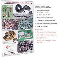 Where Snake Shows Are Fun And Educational For All Ages Safety Meetings Snake Consultations Investigations Identificatio Snake Texas Snakes Safety Meeting