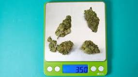 Resultado de imagen para balanza para marihuana