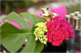 Visit your local west palm beach petsmart store for essential pet supplies like food, treats and more from top brands. Top Palm Beach Florist Instagrams Married In Palm Beach