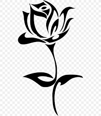 Tattoo meaning of rose tattoo drawing. Rose Tattoo Drawing Clip Art Png 529x938px Rose Art Artwork Black And White Black Rose Download
