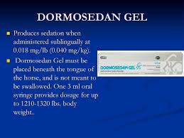 Horse gel of triple action jockey of 500 ml. Chapter 2 Pages Large Animal Clinical Procedures Ppt Download