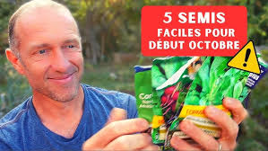 Fraises des Bois, Couvre Sol Comestible