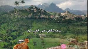 مراد 555yr سوف تلقاني على خضر الربا ايوب طارش جوده