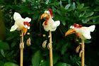 Keramik Garten Innen Wetterfest Vogel Huhn Gartenstecker Kantenhocker Hahn Ebay In 2020 Gartenstecker Gartenfiguren Huhner