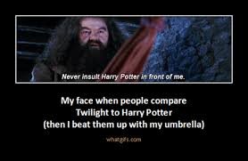 Pin By Amanda Hansen On Harry Potter Harry Potter Harry Harry Potter Obsession