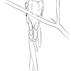 We have collected 35+ quetzal coloring page images of various designs for you to color. Https Encrypted Tbn0 Gstatic Com Images Q Tbn And9gcrhcfphzainlsetnsvwnpkjtqov24 Trobi7hqr6t2kd1ei2woi Usqp Cau